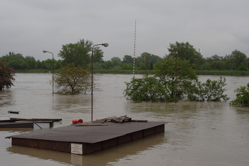 spis.php?category_id=432